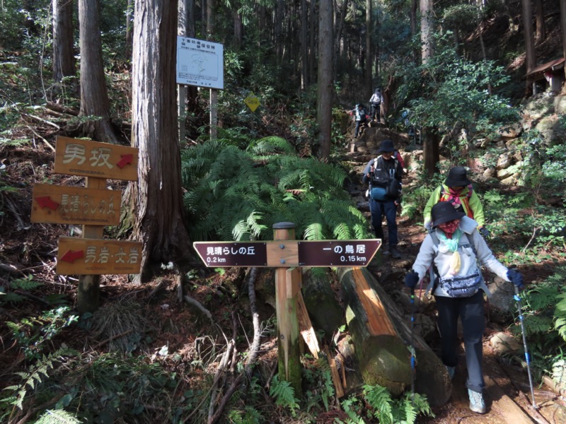 日和田山、物見山